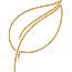 foglia